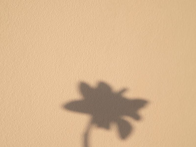 A calm and minimalist space suitable for eye exercises, with soft light.